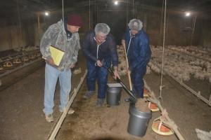 3 men checking soil